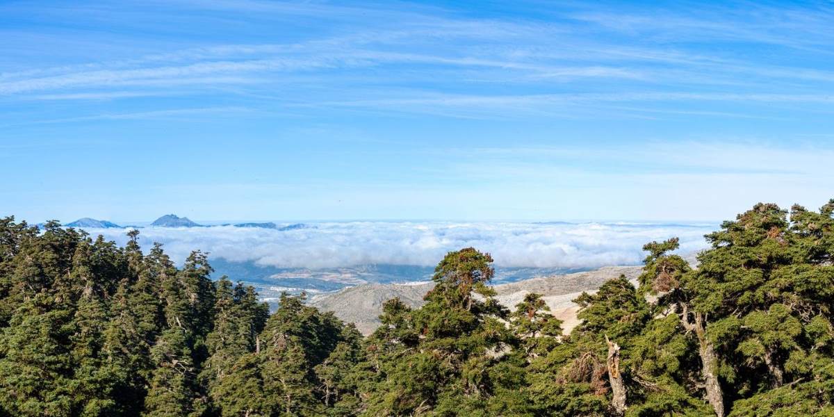 parque-Nacional-de-la-Sierra-de-las-Nieves-vistas